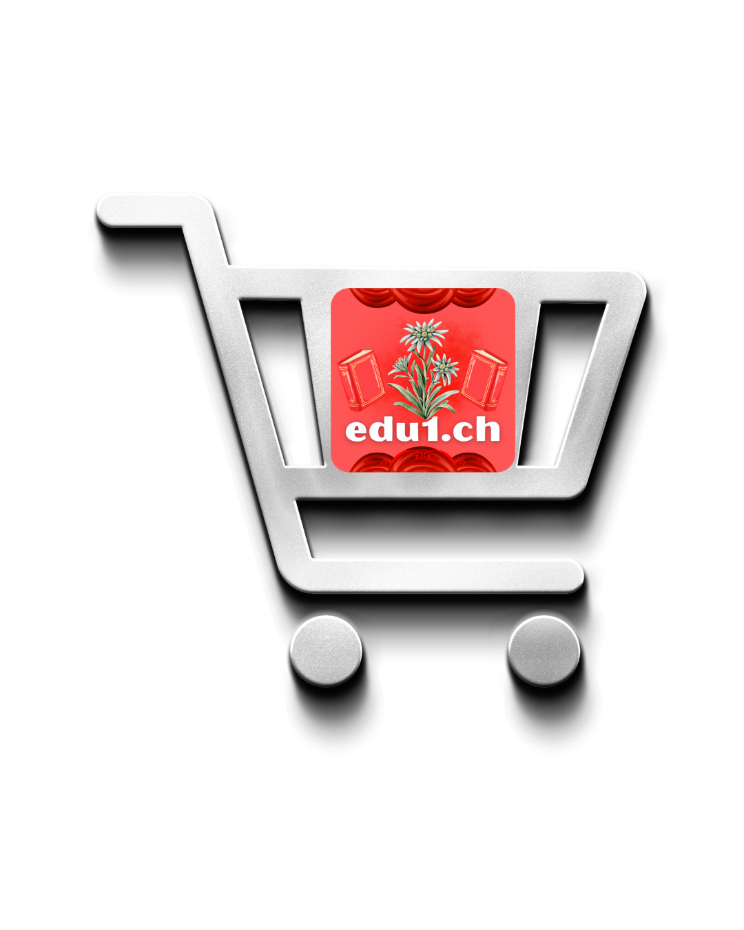 beoshop.be-e-books-schnellkurse