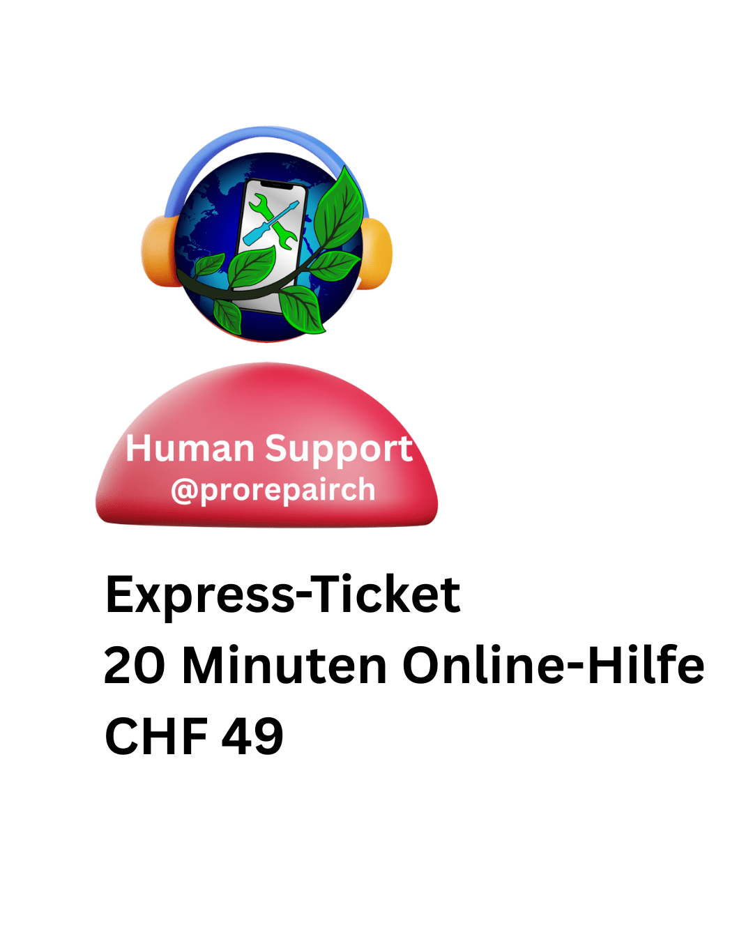 ProRepairCH-Express-Ticket-20-Minuten-Online-Hilfe